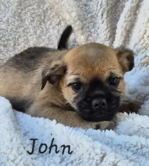 John