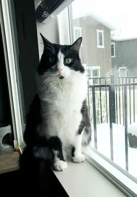 Tia photo 3