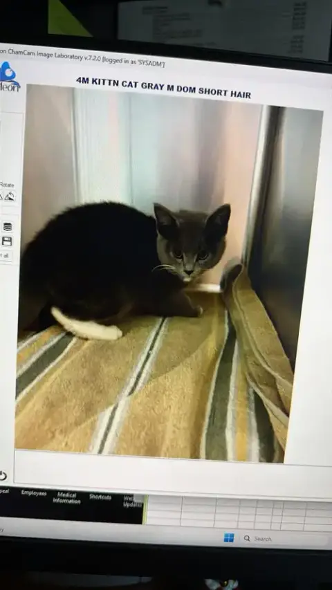 Milo