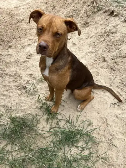 Matilda