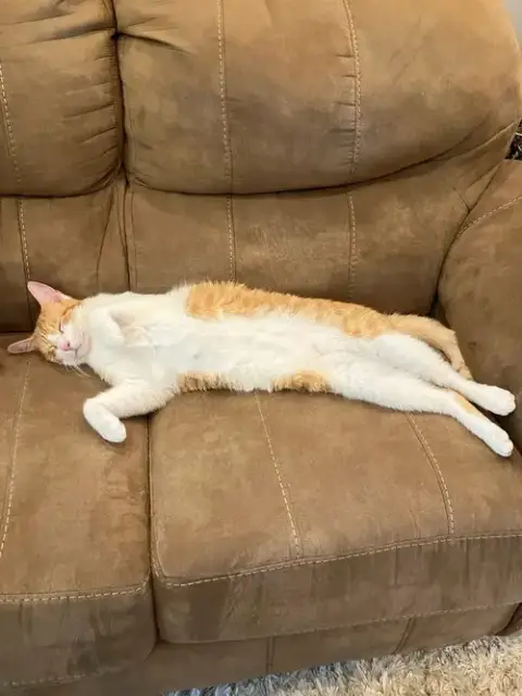 Peach