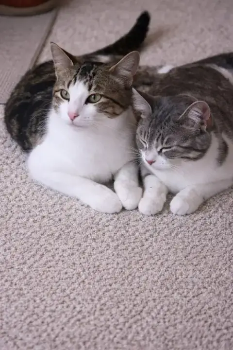 Phillip & Itsy photo 2