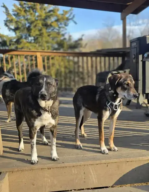 Mutt & Jeff photo 2