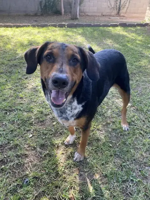Rescue photo 3