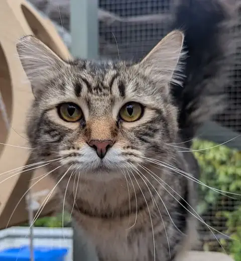 Miller #1 & #2