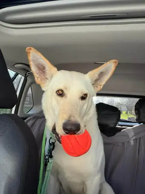 Max