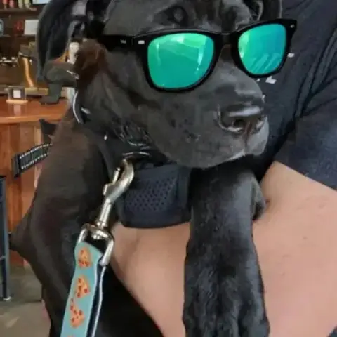 Guinness photo 3
