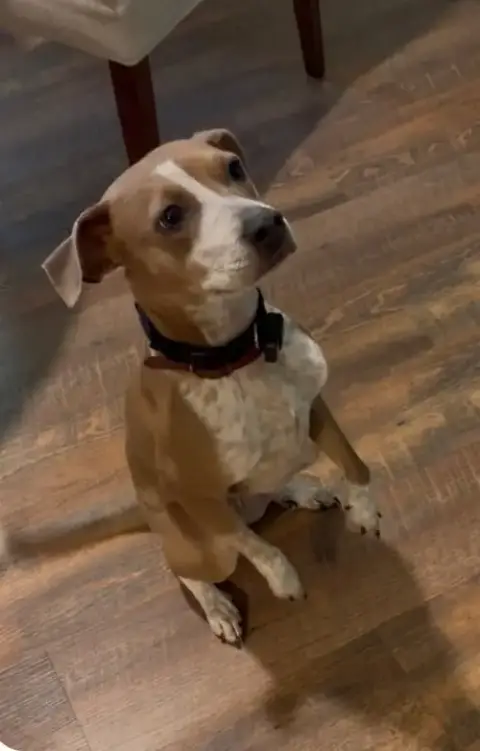 Penny photo 4