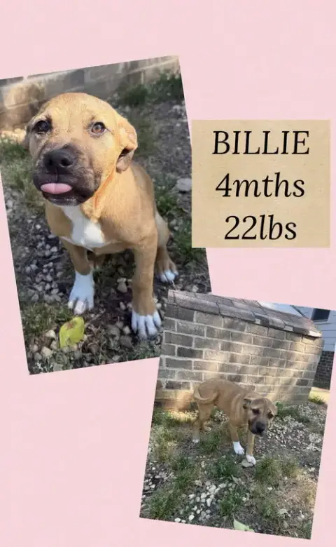 Billie
