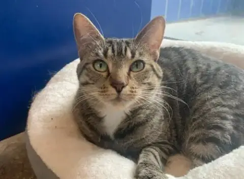 Delilah