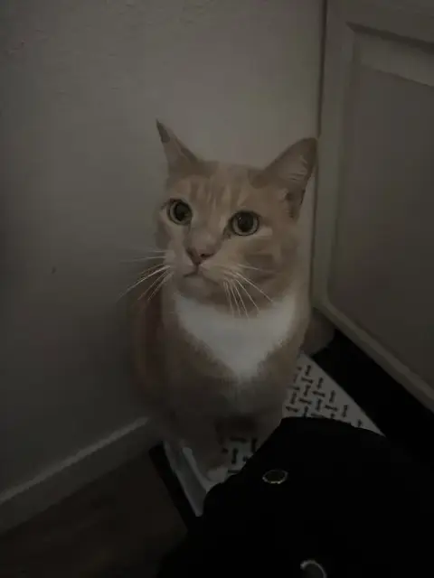 Loki photo 3