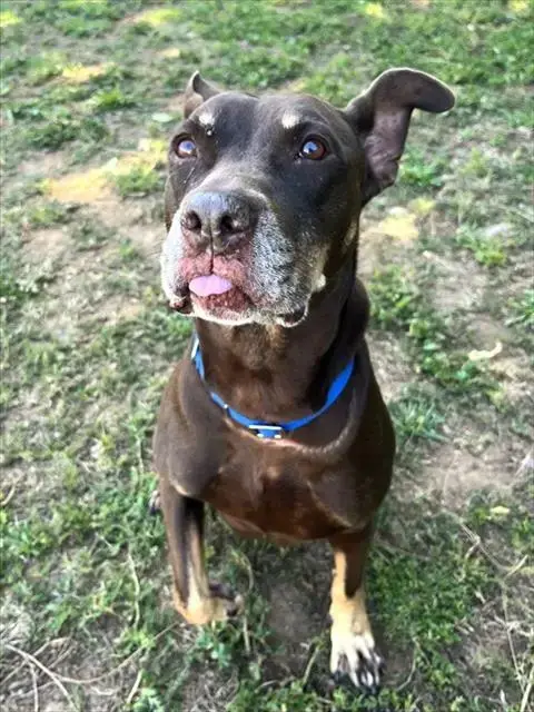 *Penny