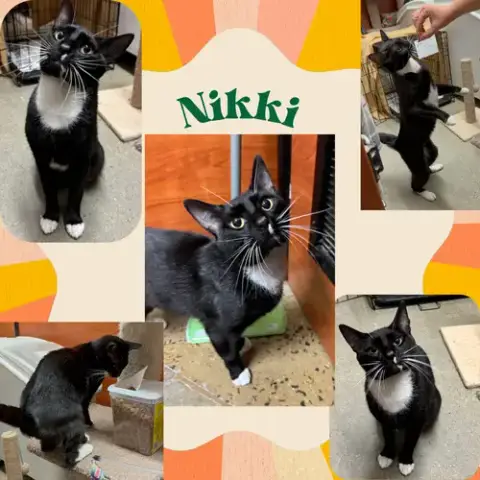Nikki photo 3