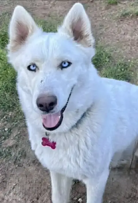 Juliette