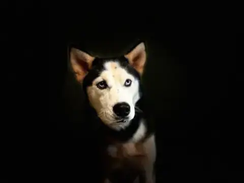 Lexie photo 5