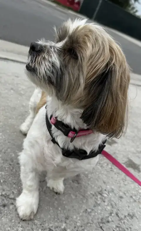 Maggie photo 4