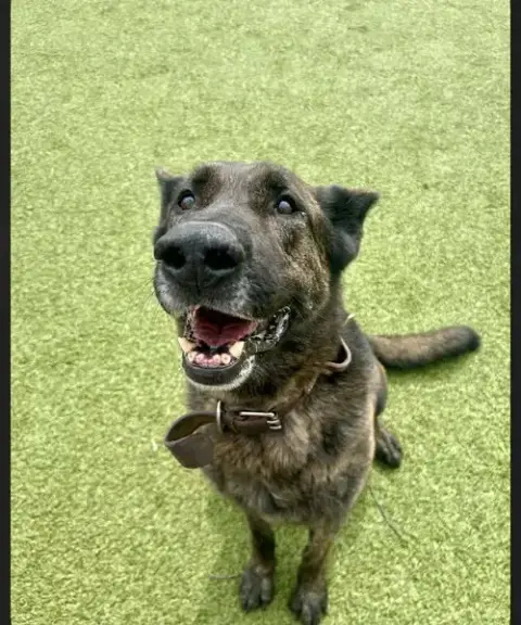 Ralphie