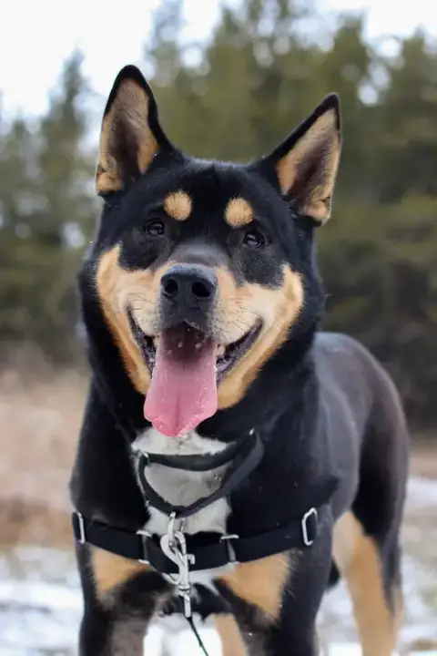 Kane photo 3