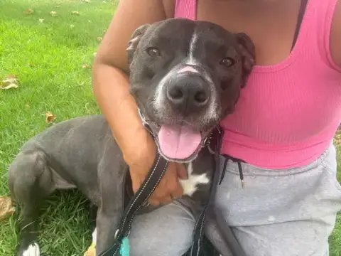 Nala photo 4
