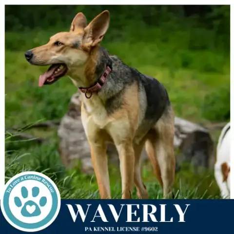 Waverly photo 2