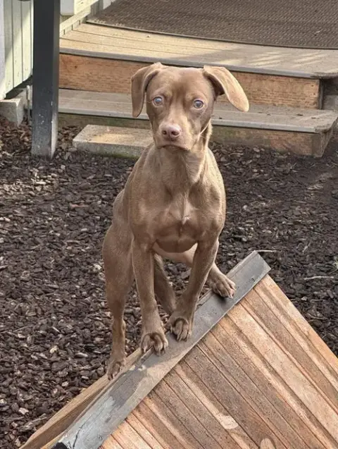 Remy photo 2