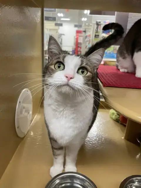 Kiki photo 3