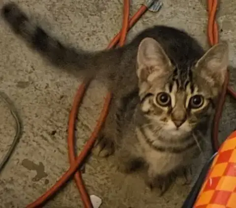 Tigger photo 3