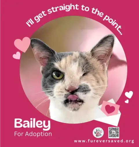 Bailey photo 2
