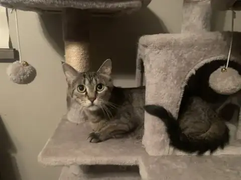 Maggie photo 3