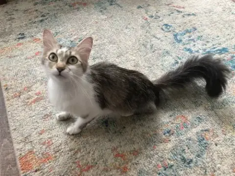 Junie B. photo 2