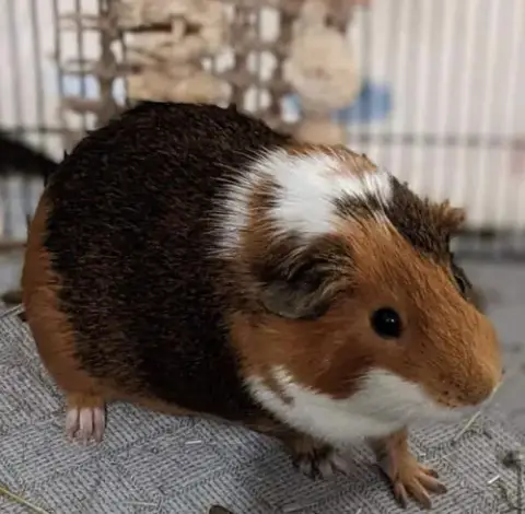 Walter ⭐️ photo 5