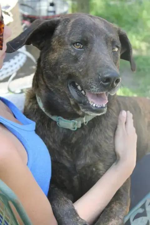 Hercules photo 3
