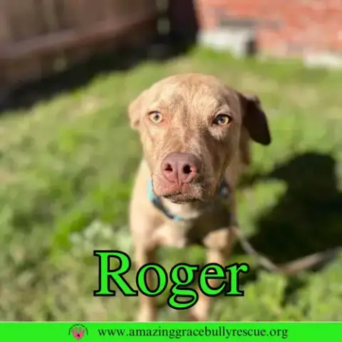 Roger photo 2