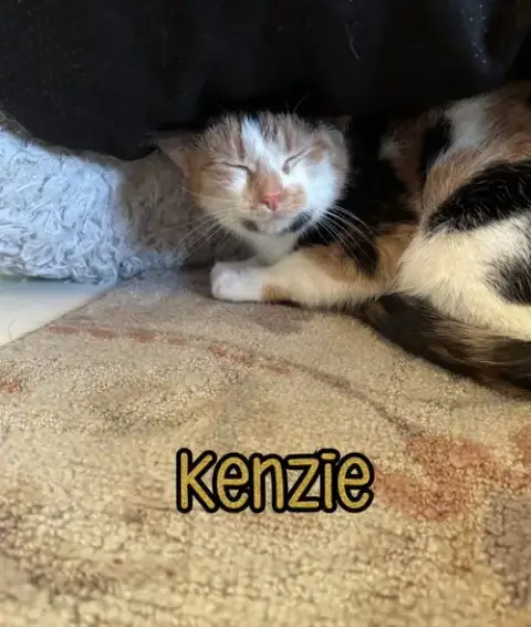 Kenzie photo 4