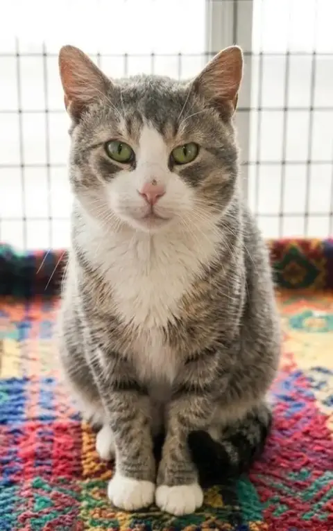 Sammy