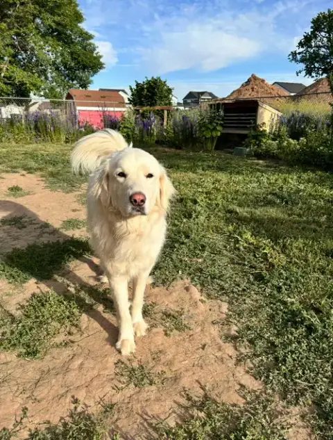 Maggie photo 3