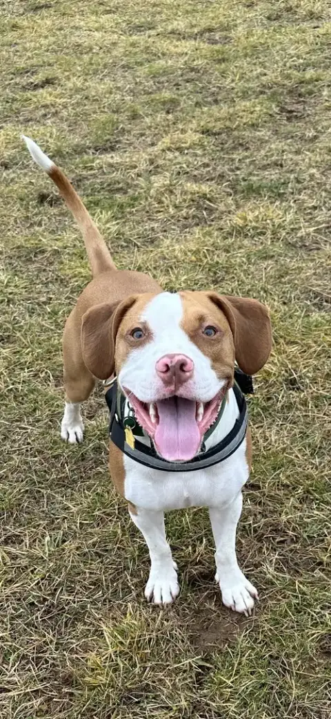 Arlo