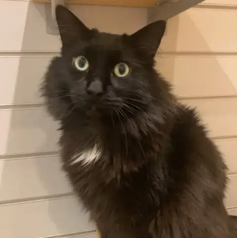 Buzz *In Foster* photo 2