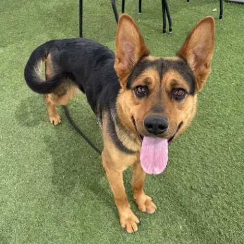 Juno