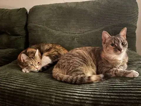 June And Bug photo 4