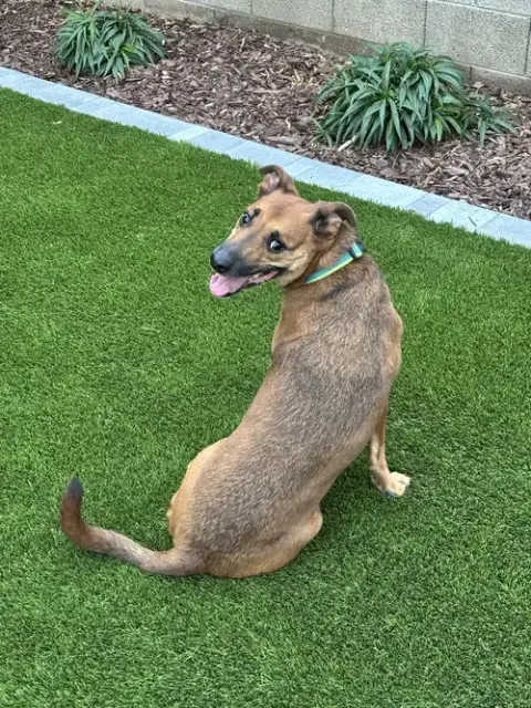 Max photo 2