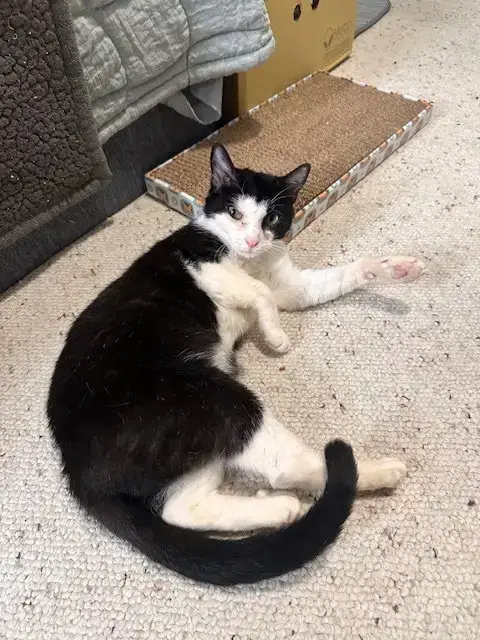 Kiki photo 2