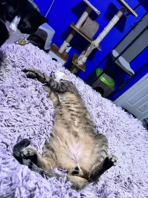 Hank photo 4