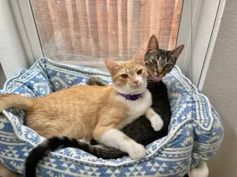 Parker And Echo photo 2