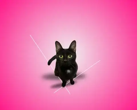 Mimi