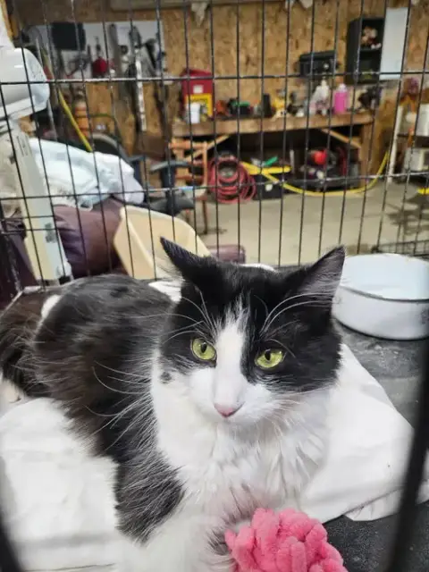 Zoe