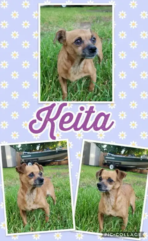 Keita photo 4