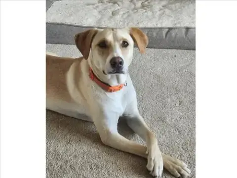 Sadie