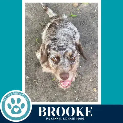 Brooke 042526 photo 4
