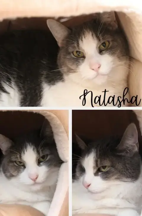 Natasha